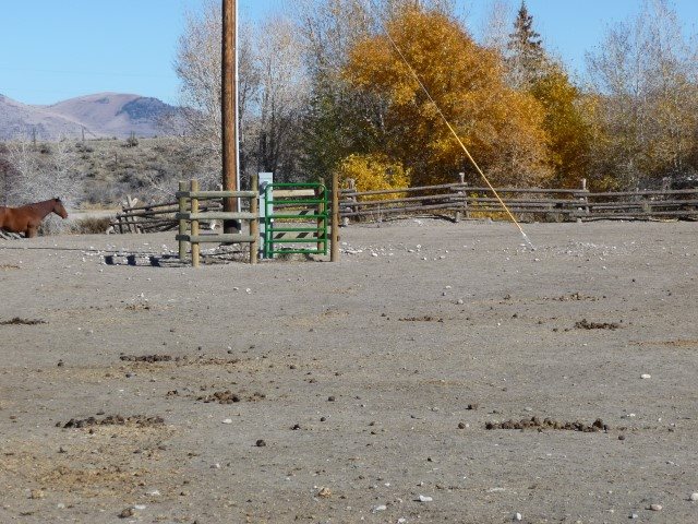 Cleveland, Lima, MT 59739