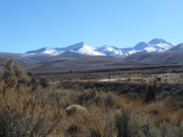 Cleveland, Lima, MT 59739