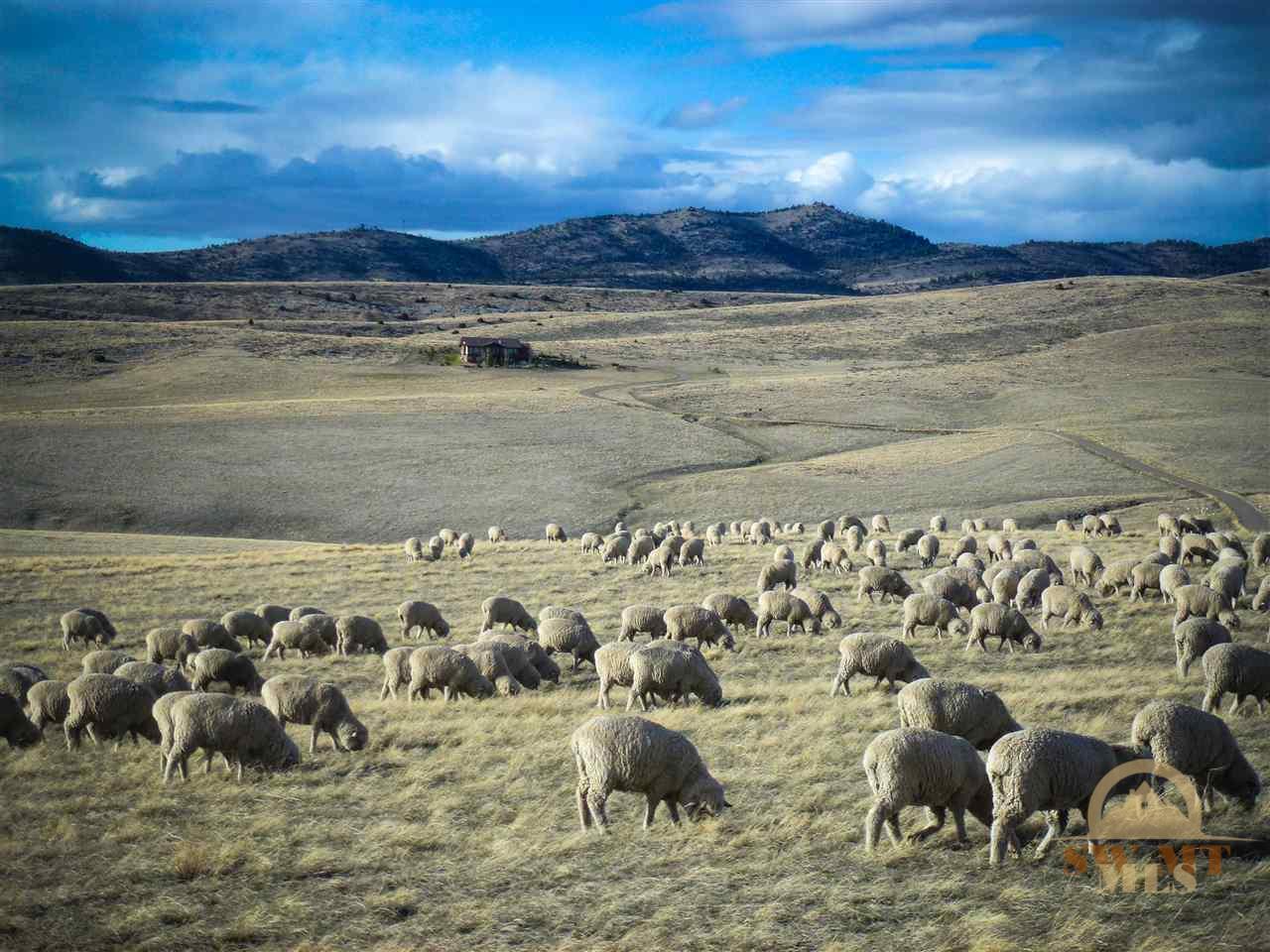 Lot 172 Hilltop, Manhattan, MT 59741