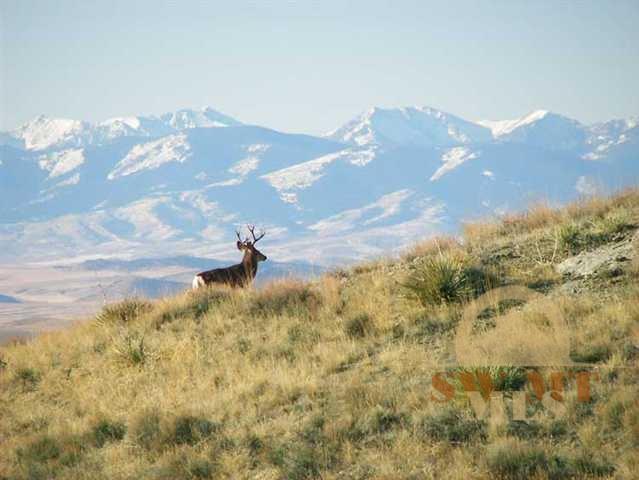 Lot 66 Moccasin Trail, Manhattan, MT 59741