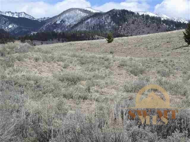 86 Mountain, Polaris, MT 59746