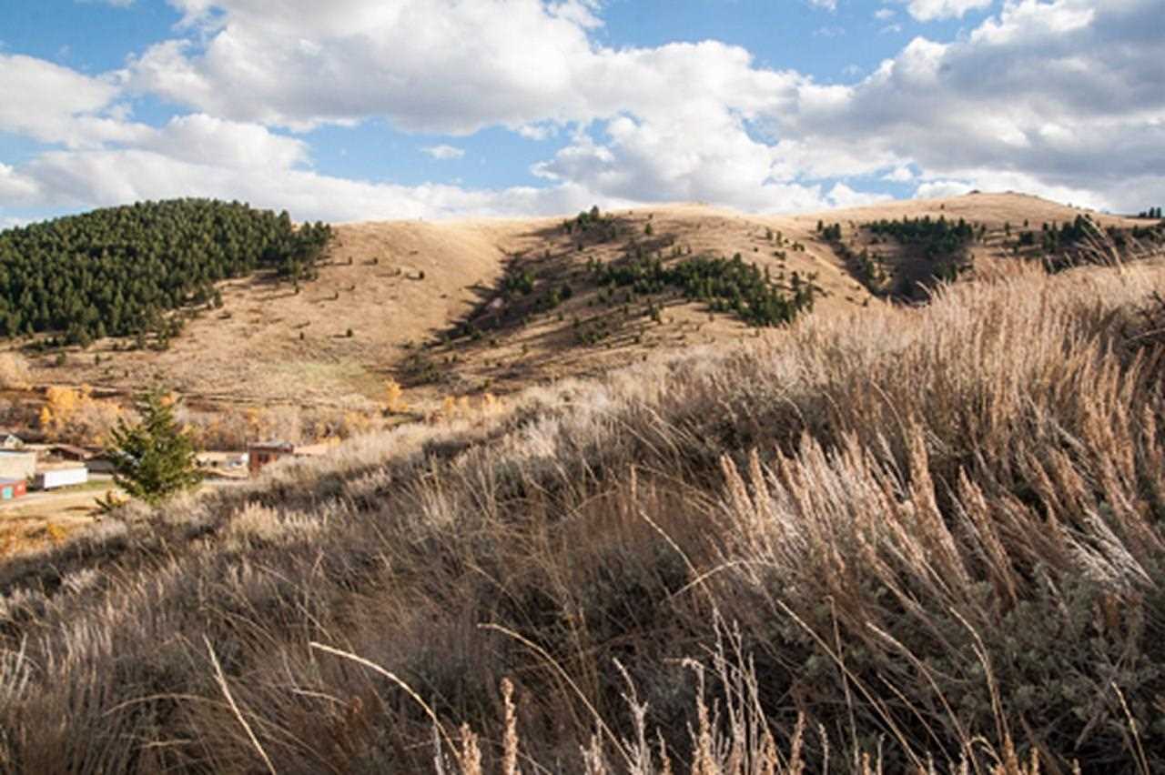 125 Mallory St, Pony, MT 59747