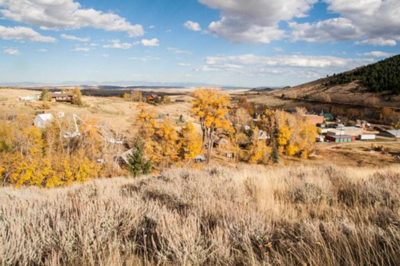125 Mallory St, Pony, MT 59747