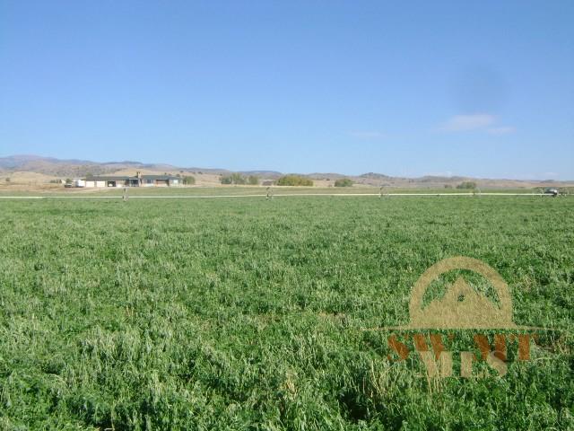 Mountain View Road, Sheridan, MT 59749