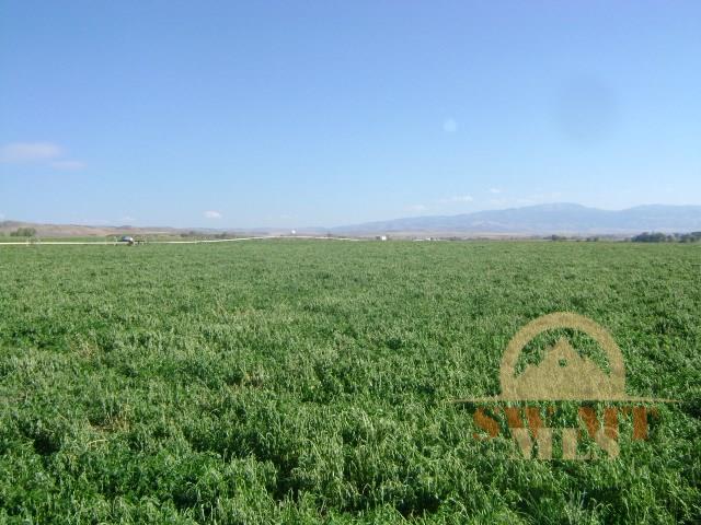 Mountain View Road, Sheridan, MT 59749