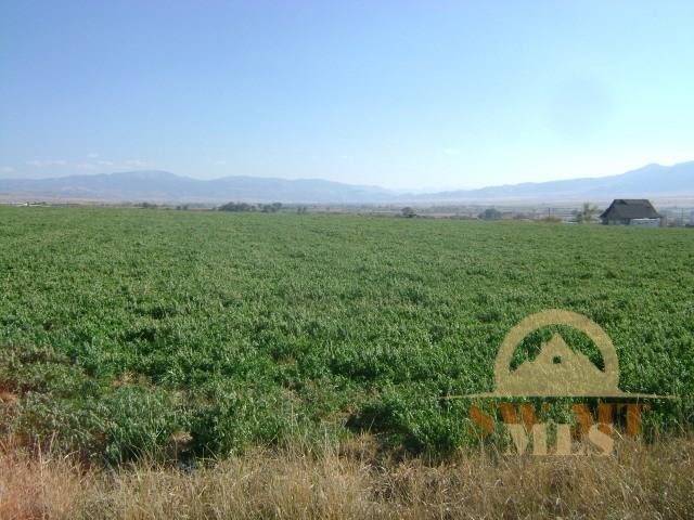 Mountain View Road, Sheridan, MT 59749