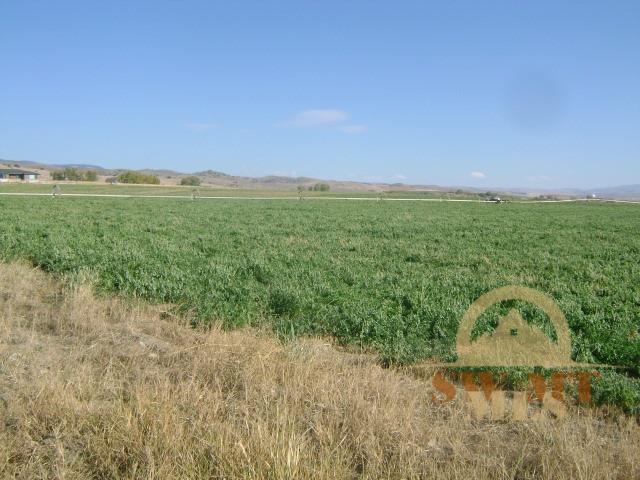 Mountain View Road, Sheridan, MT 59749