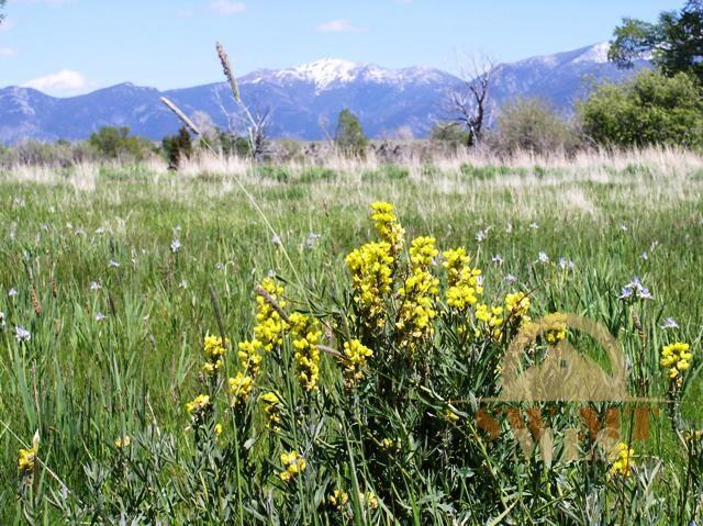 Lot 14 Jefferson, Silver Star, MT 59751