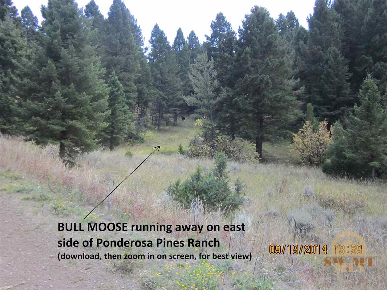 Lot 408 Skyline Rd, Three Forks, MT 59752