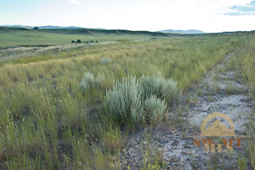 Lot 46 Rolling Glen Ranch, Three Forks, MT 59752