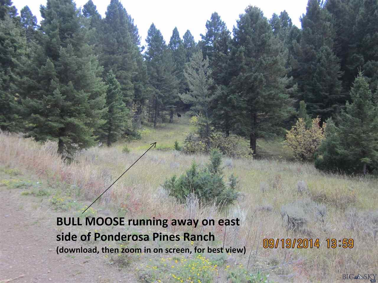 Lot 50 Skyline, Three Forks, MT 59752