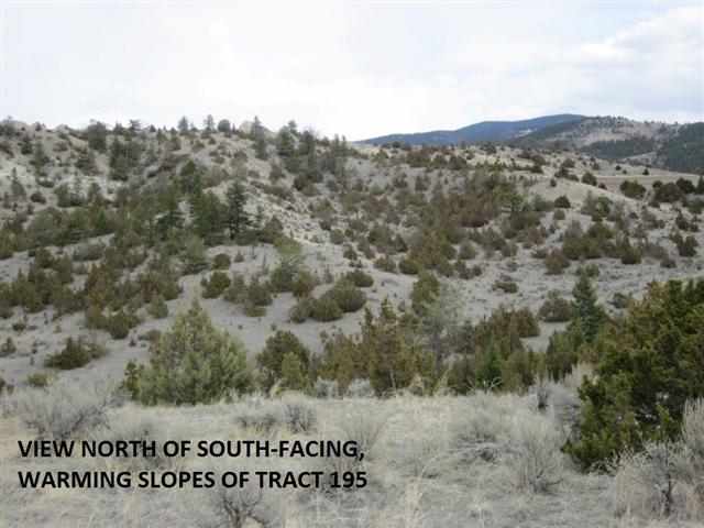 Tract 195 Sage, Three Forks, MT 59752