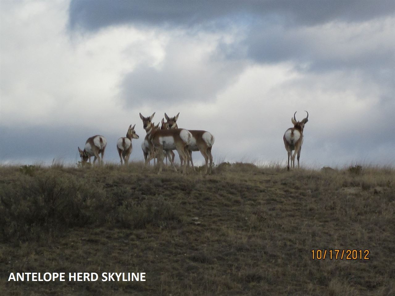 Lot 220 Pole Gulch, Three Forks, MT 59752