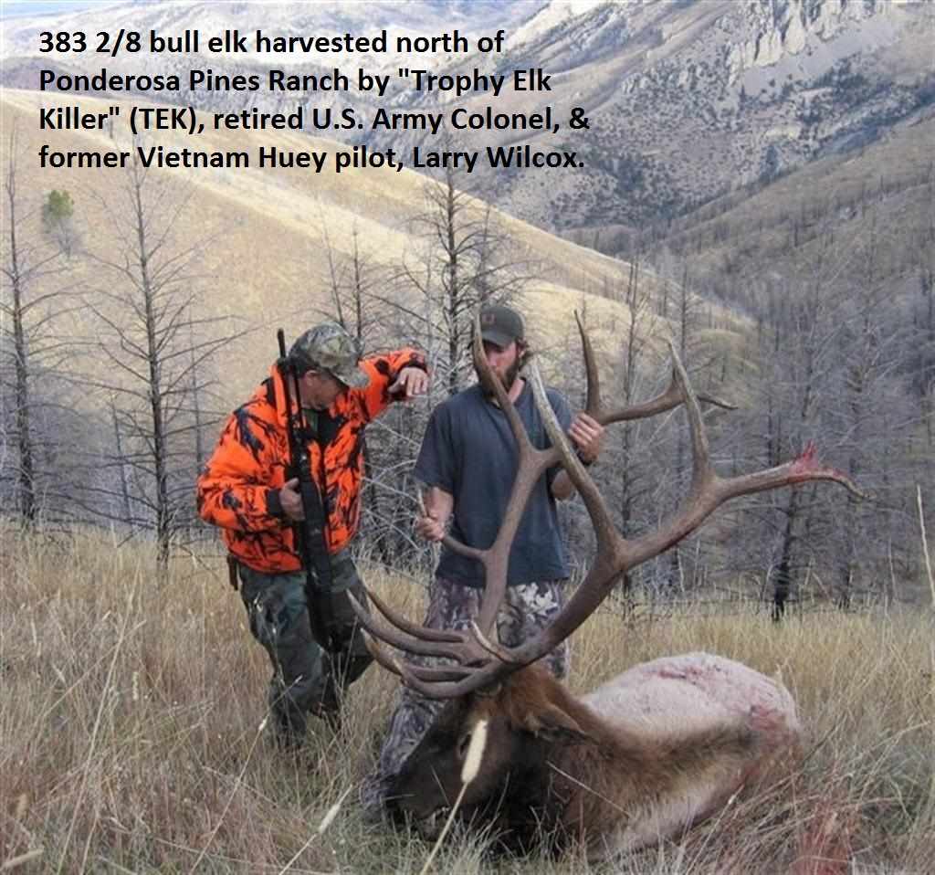 Lot 220 Pole Gulch, Three Forks, MT 59752
