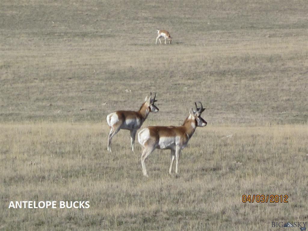 Lot 250 Sage, Three Forks, MT 59752