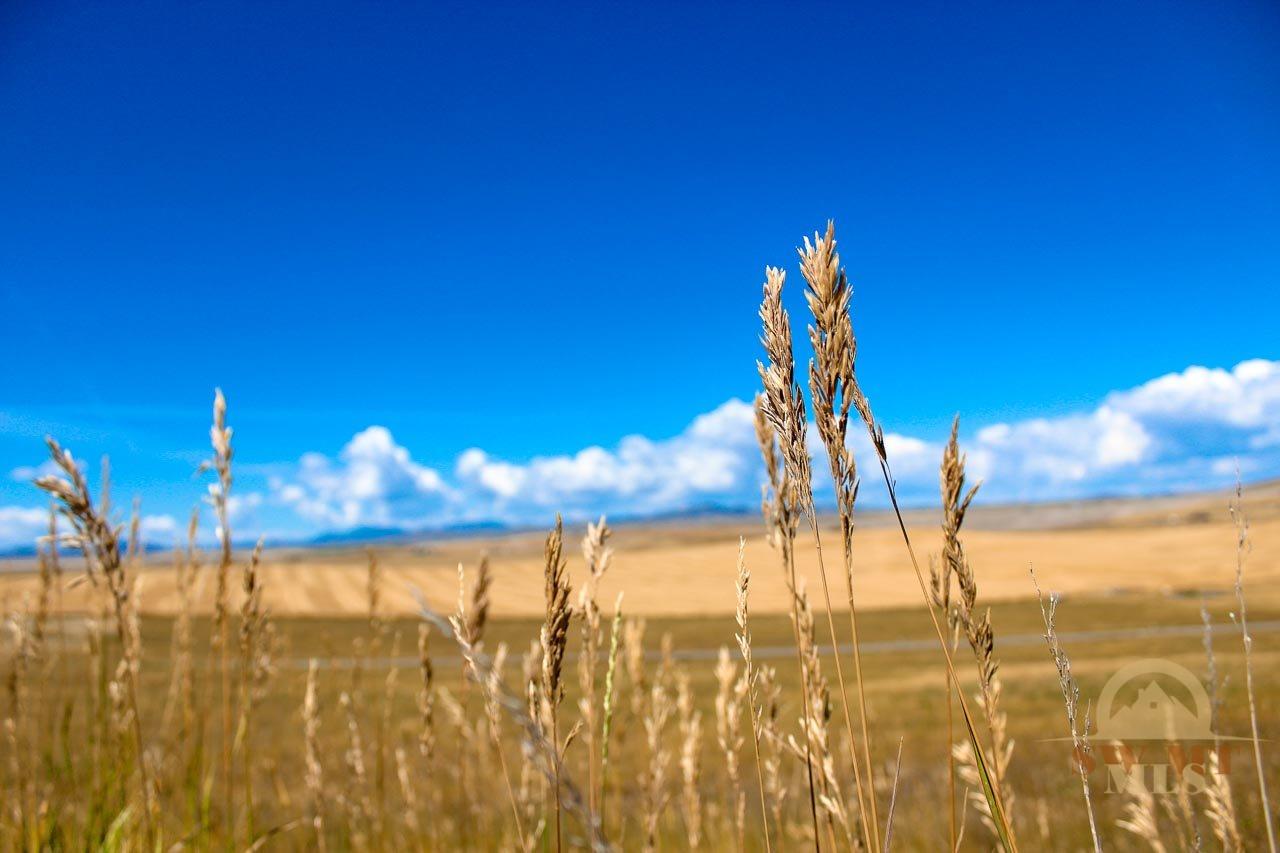 Lots 76 &amp; 79 Wheatland Meadows, Three Forks, MT 59752