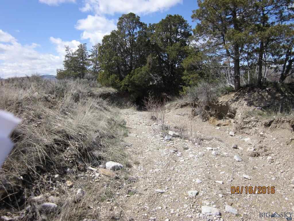 12020  Big Davis, Three Forks, MT 59752