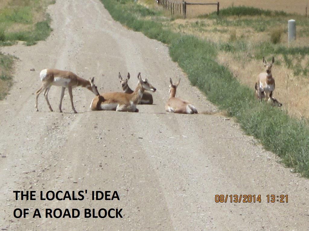 Lot 802 Miller Canyon, Three Forks, MT 59752