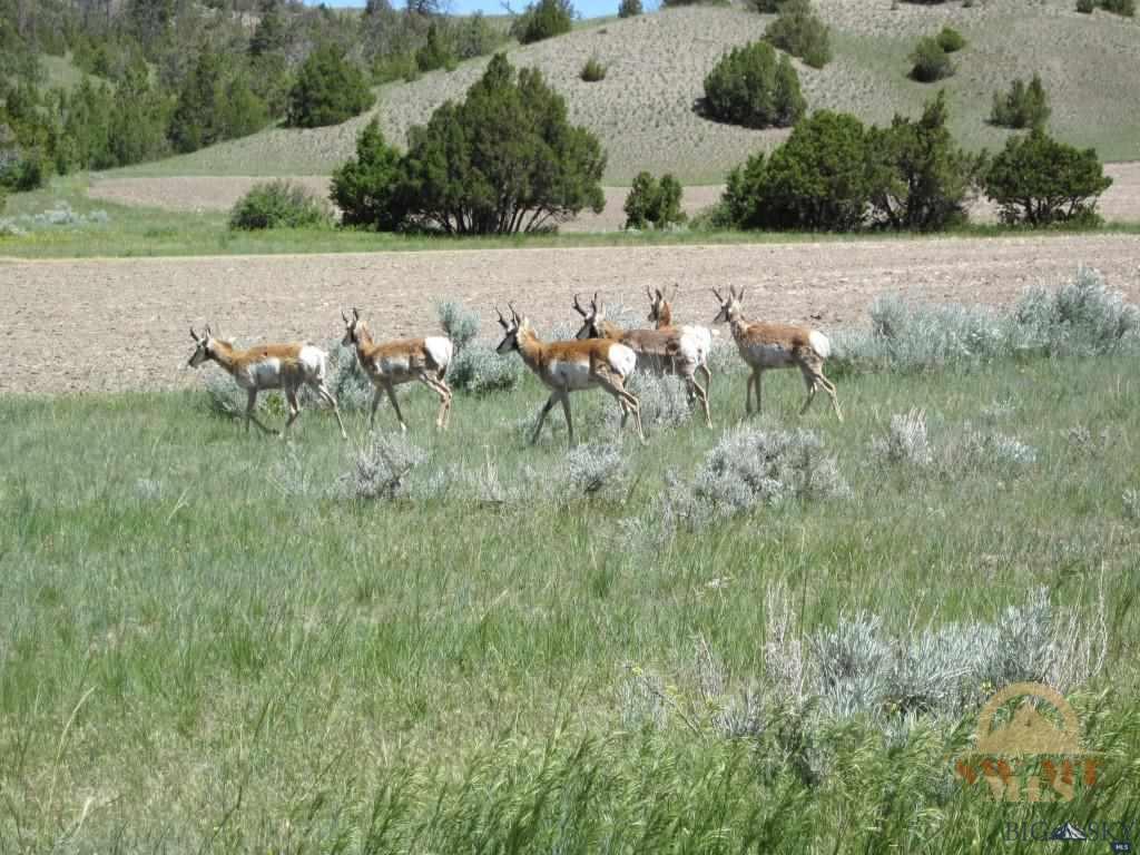 Lot 990 Crystal Mountain Rd, Three Forks, MT 59752