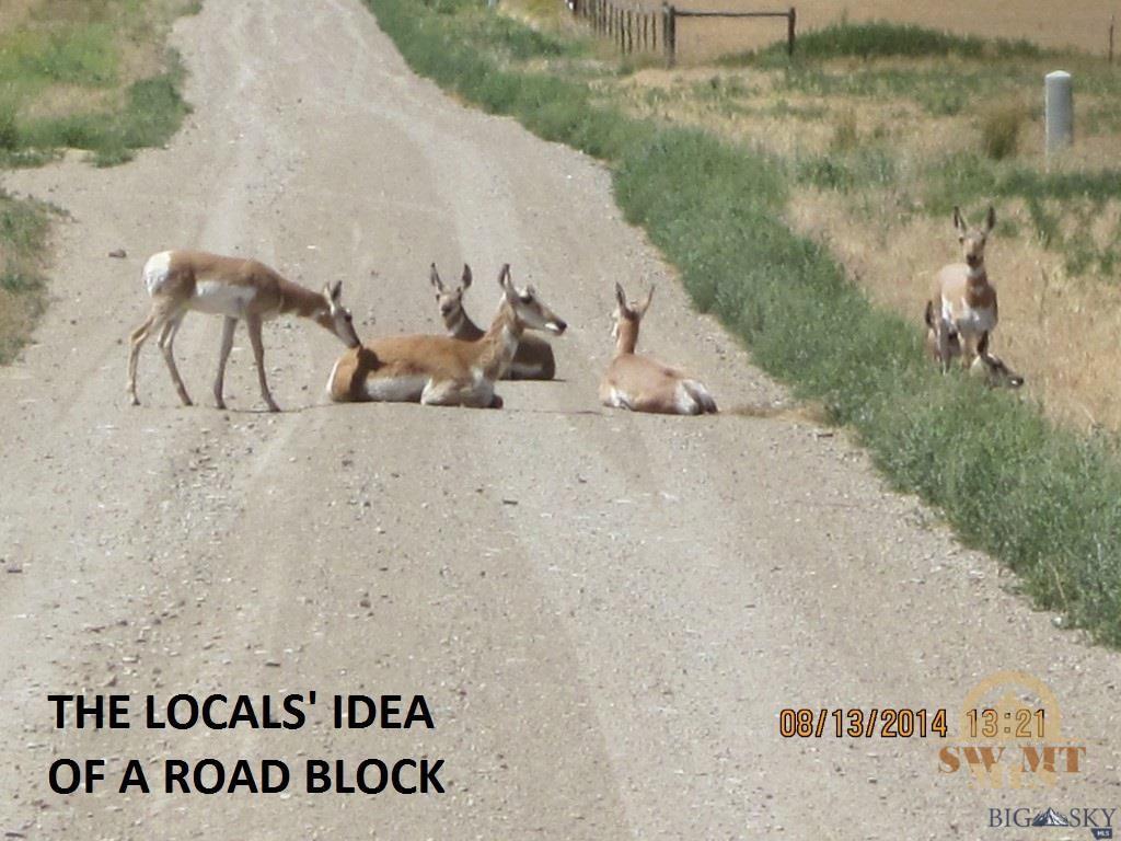 Lot 990 Crystal Mountain Rd, Three Forks, MT 59752