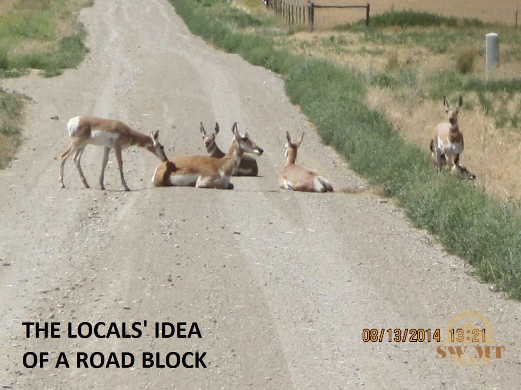 Lot 840 Crystal Mountain Rd, Three Forks, MT 59752