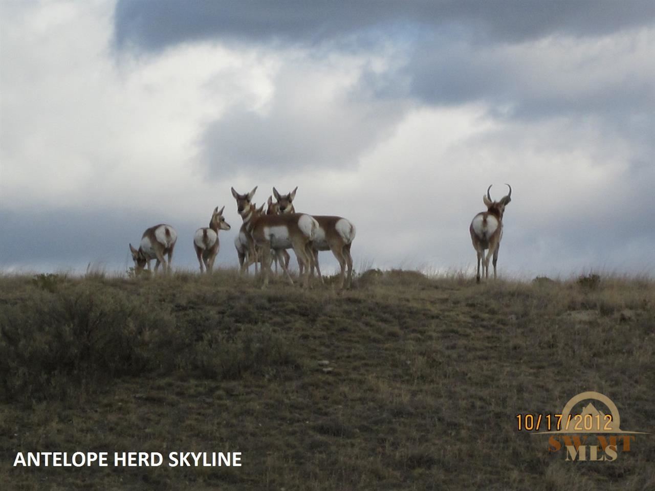 Lot 840 Crystal Mountain Rd, Three Forks, MT 59752