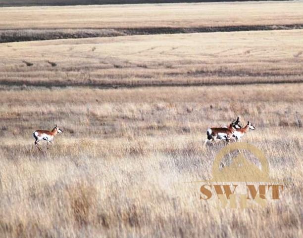 Lot 14 Park Trail Ranch Estates, Three Forks, MT 59752