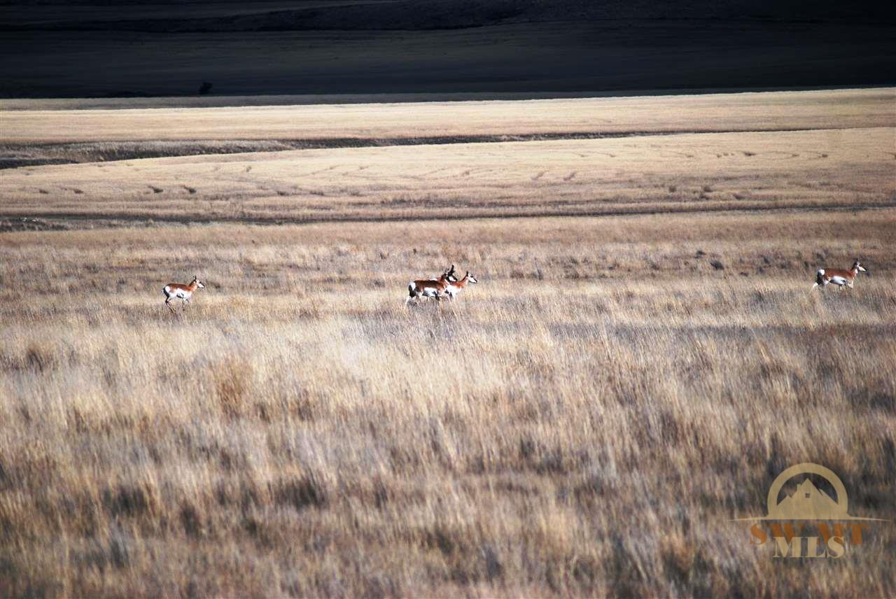 Lot 1 Park Trail Ranch Estates, Three Forks, MT 59752
