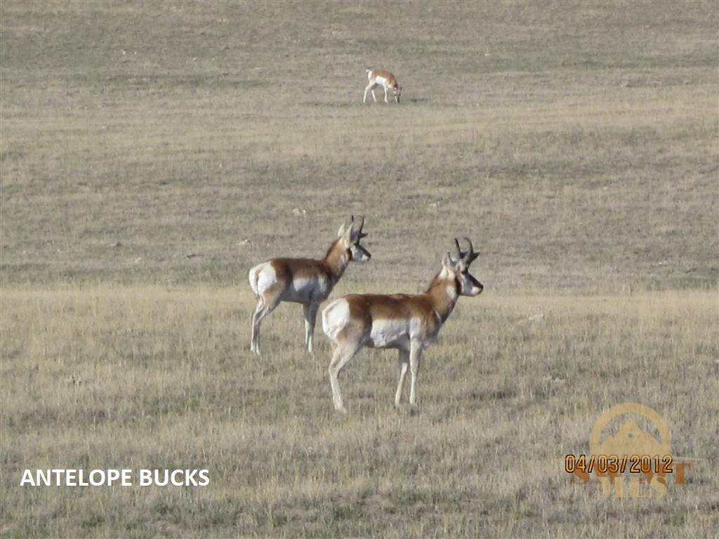 880-881-903-904 Old Coach, Three Forks, MT 59752
