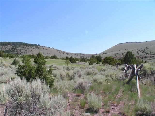 Lots 1-12 Block 172, Virginia City, MT 59755