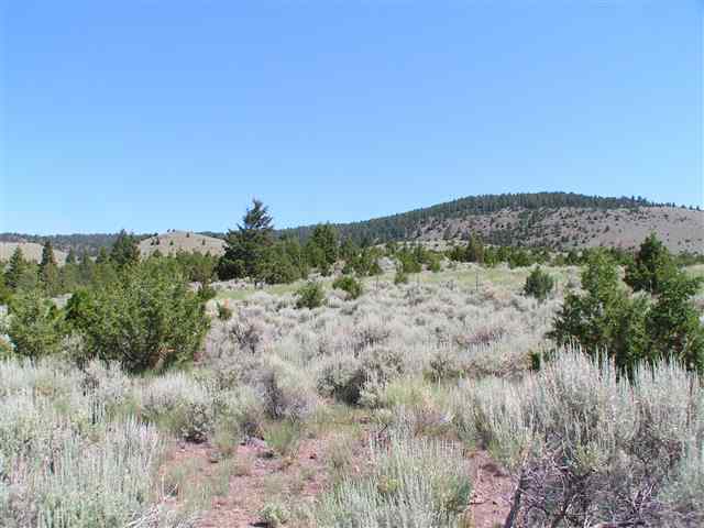 Lots 1-12 Block 172, Virginia City, MT 59755