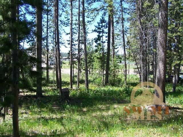 TBD Moose, West Yellowstone, MT 59758