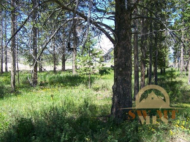 TBD Moose, West Yellowstone, MT 59758