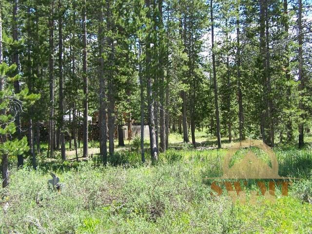 TBD Moose, West Yellowstone, MT 59758
