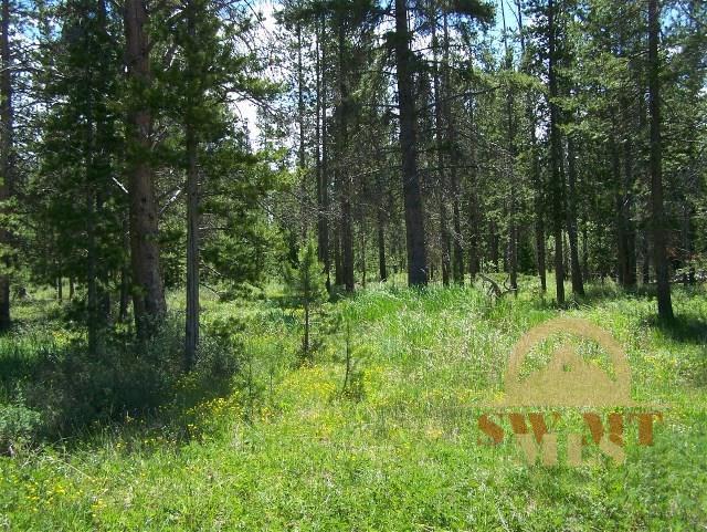 TBD Moose, West Yellowstone, MT 59758