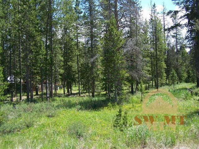 TBD Moose, West Yellowstone, MT 59758