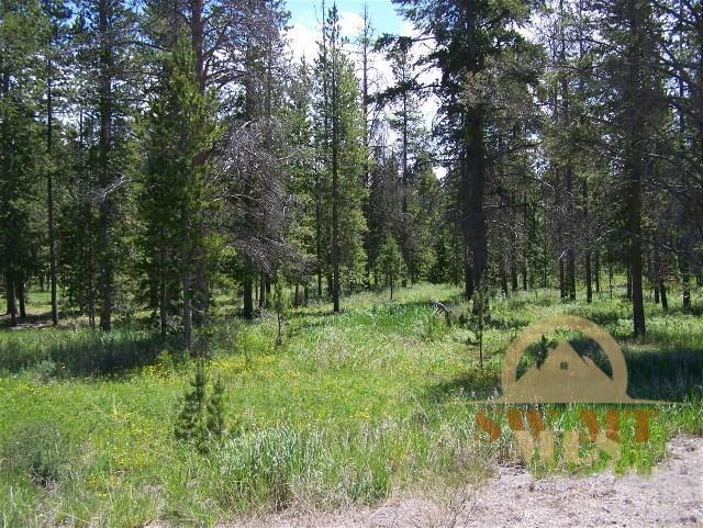 TBD Moose, West Yellowstone, MT 59758