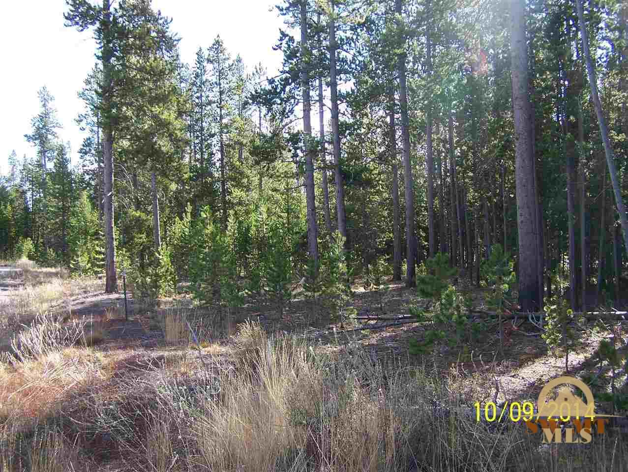 612 Grouse, West Yellowstone, MT 59758