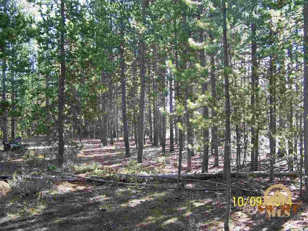 612 Grouse, West Yellowstone, MT 59758