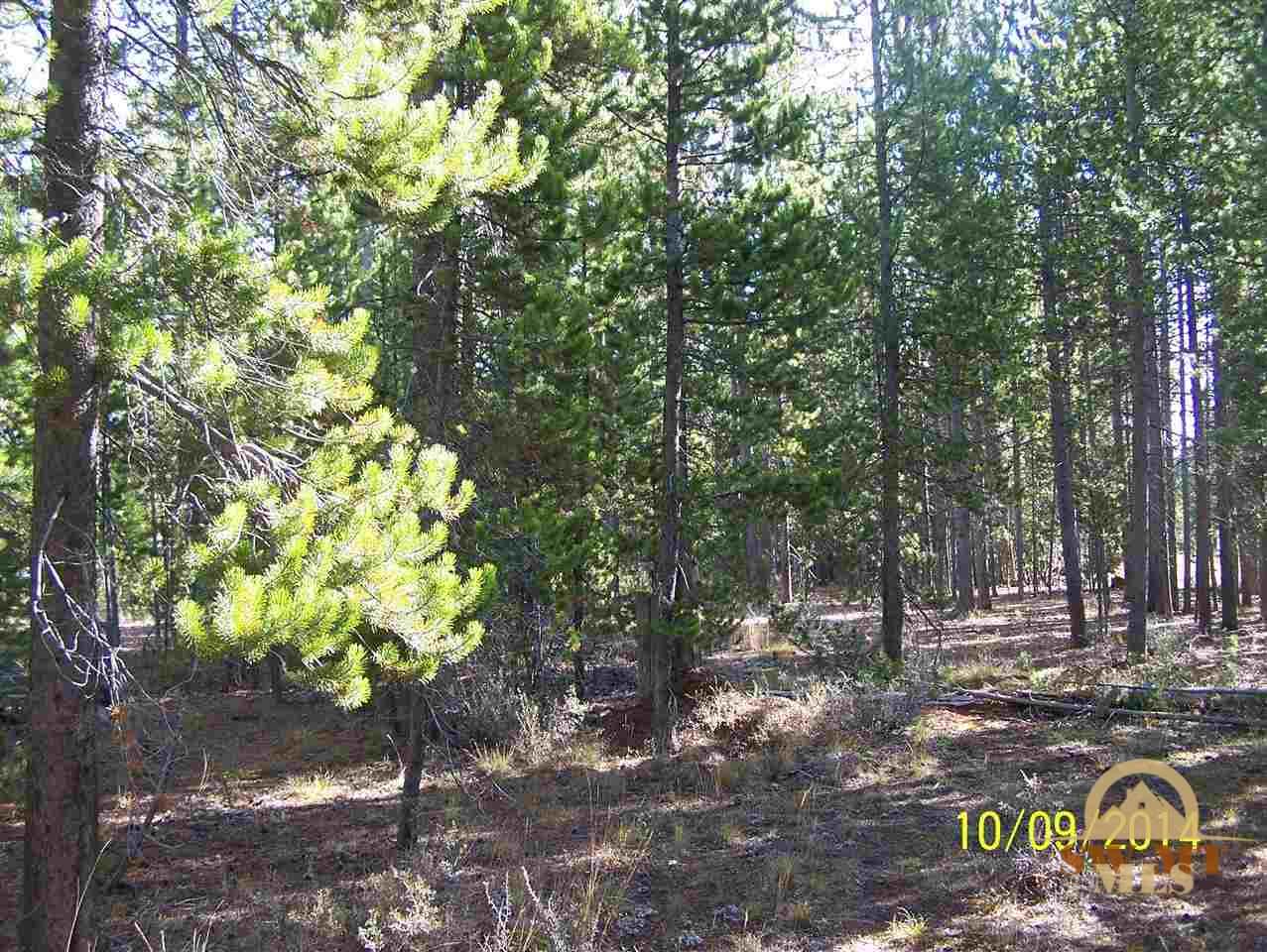 612 Grouse, West Yellowstone, MT 59758