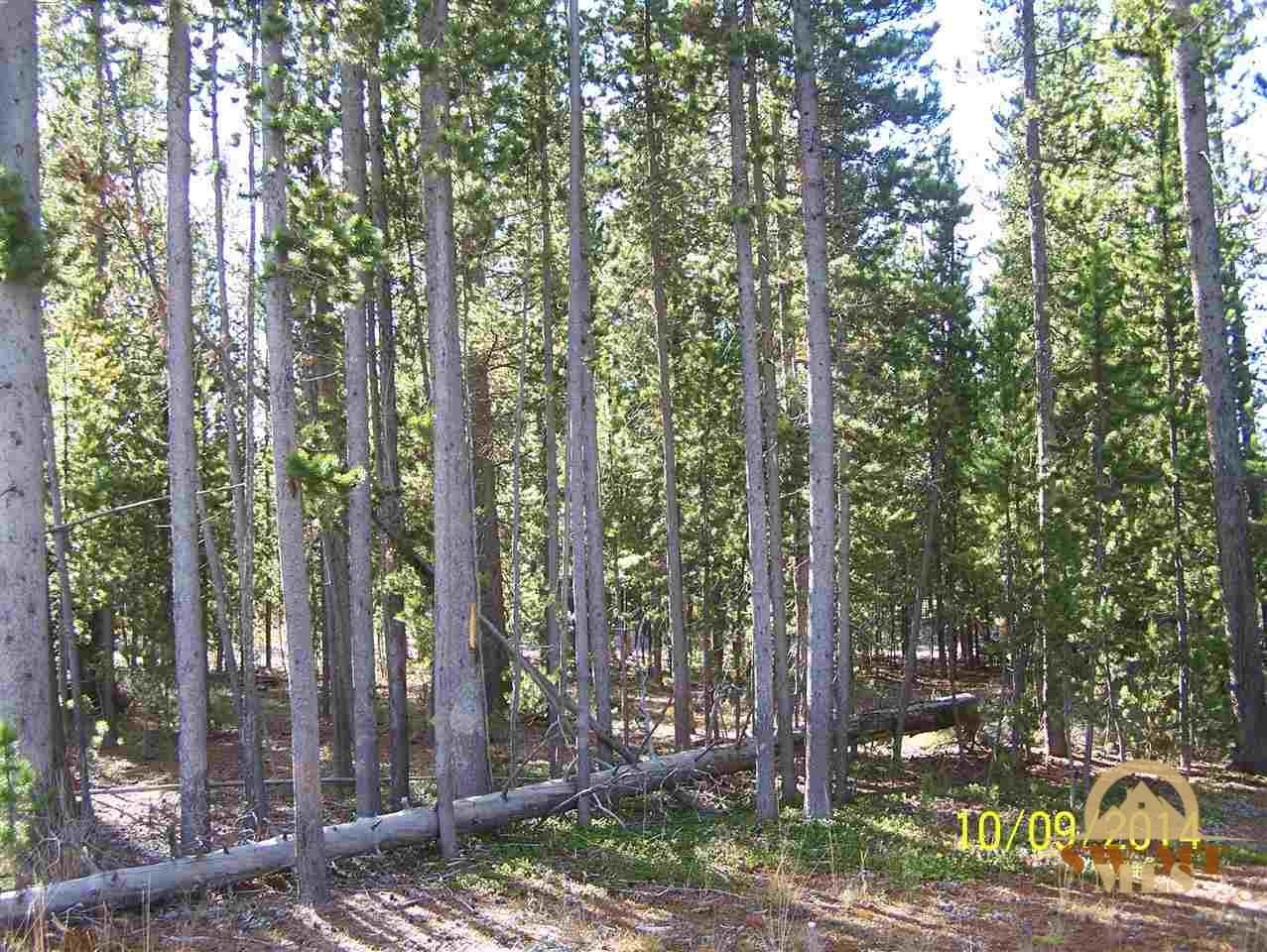 612 Grouse, West Yellowstone, MT 59758