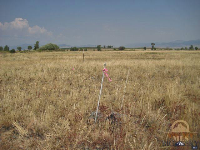Tract 6 Tobacco Root, Whitehall, MT 59759