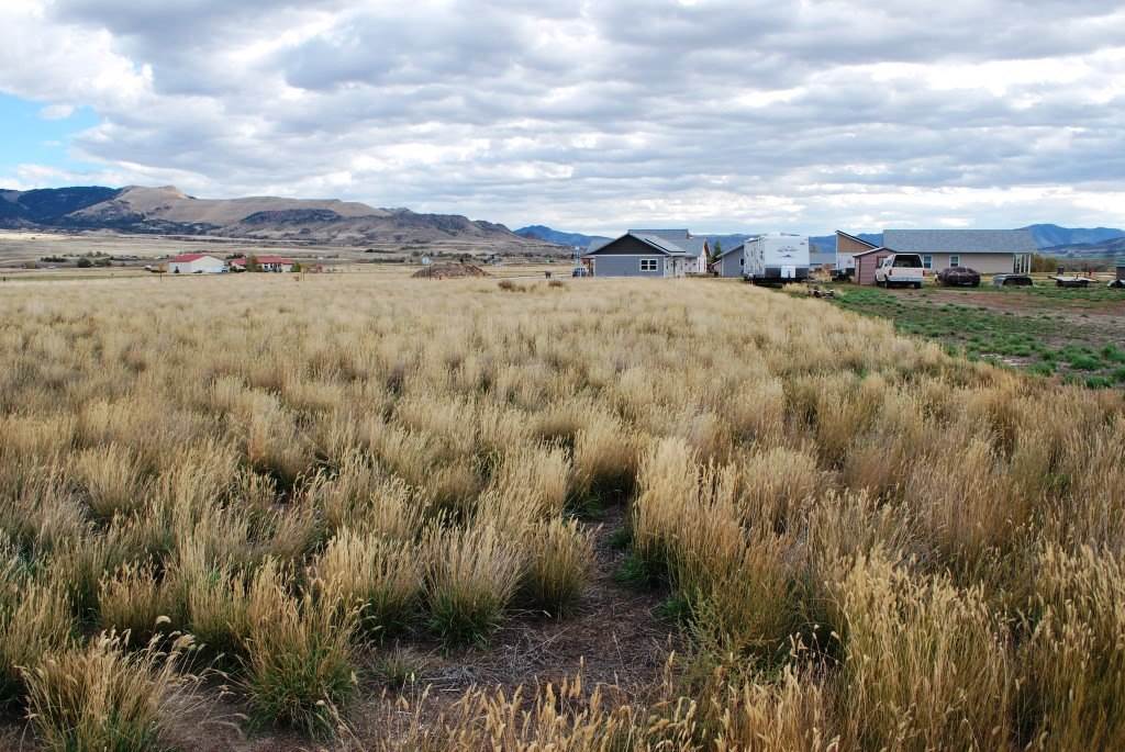 Sunset West, Whitehall, MT 59759