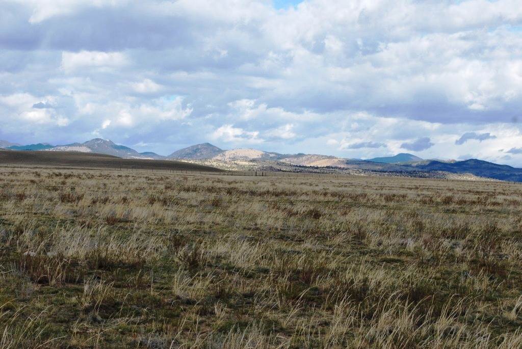 Fish Creek, Whitehall, MT 59759