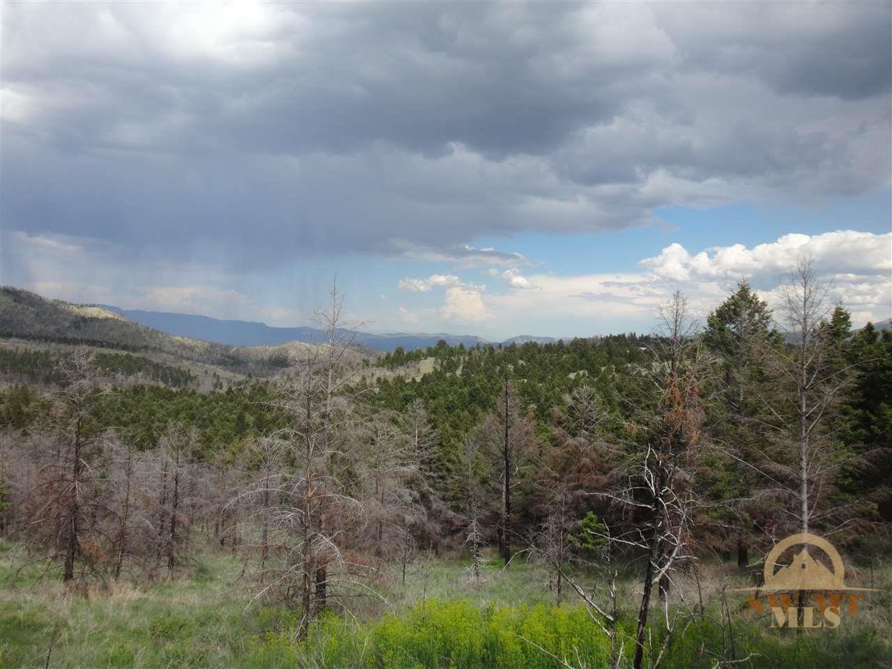 Lot 45 Pipestone, Whitehall, MT 59759