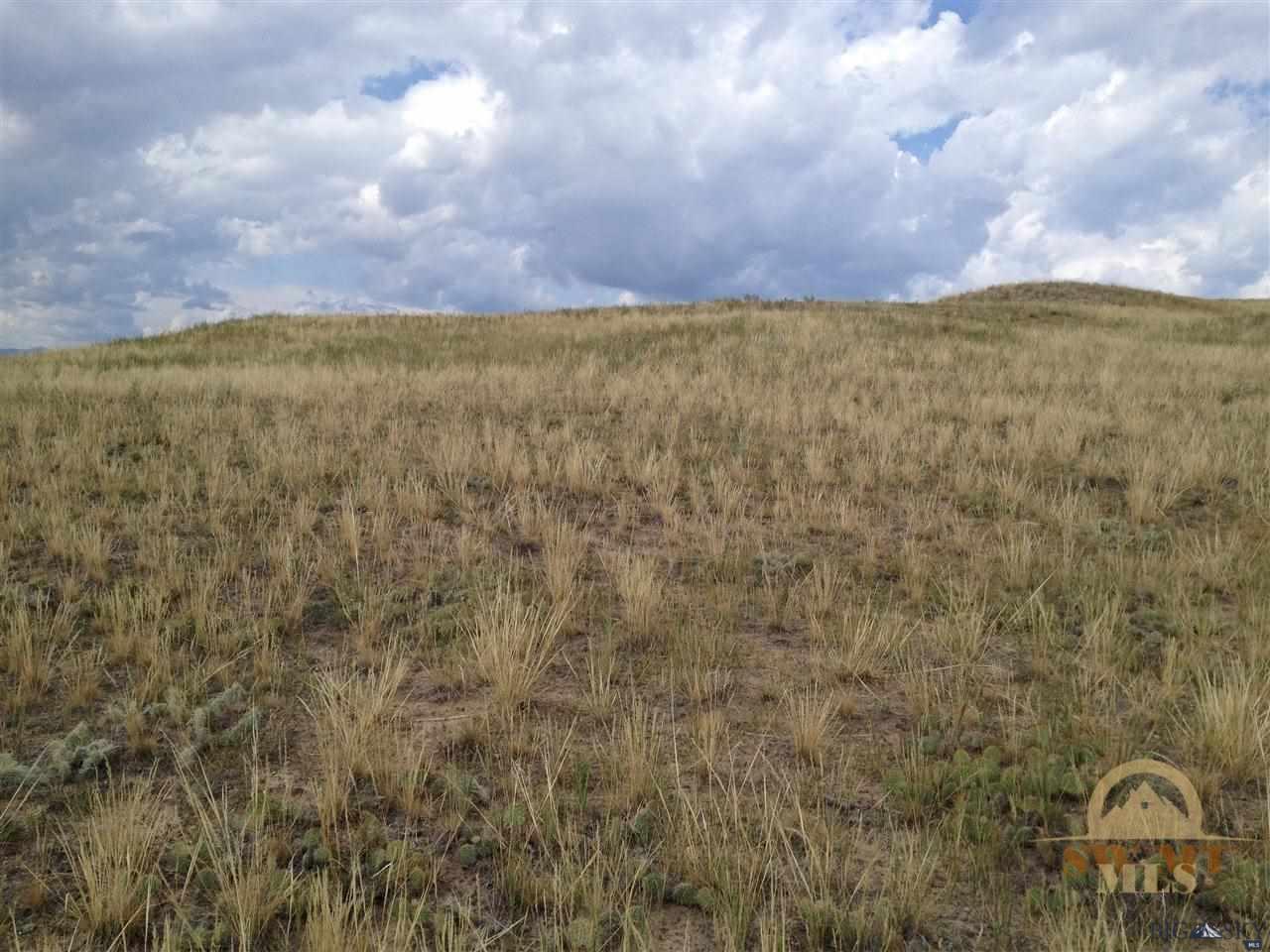 LOT 3 SNOWDEN, Whitehall, MT 59759