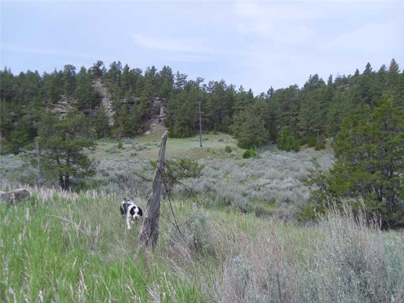 4 JEFFREY ROAD, Roundup, MT 59807