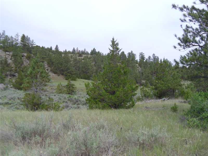 4 JEFFREY ROAD, Roundup, MT 59807