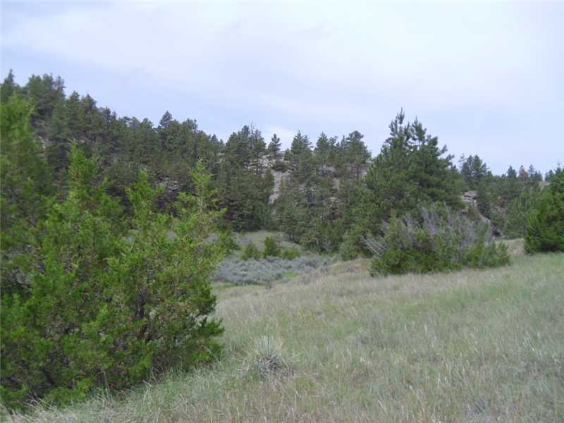 4 JEFFREY ROAD, Roundup, MT 59807
