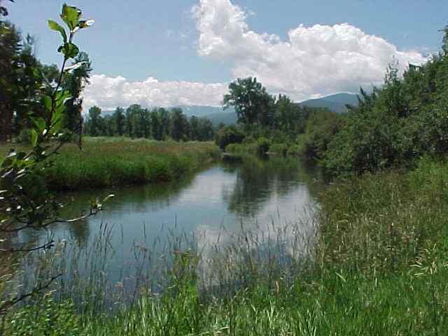 Lot 18 Riverwalk Estates, Missoula, MT 59808